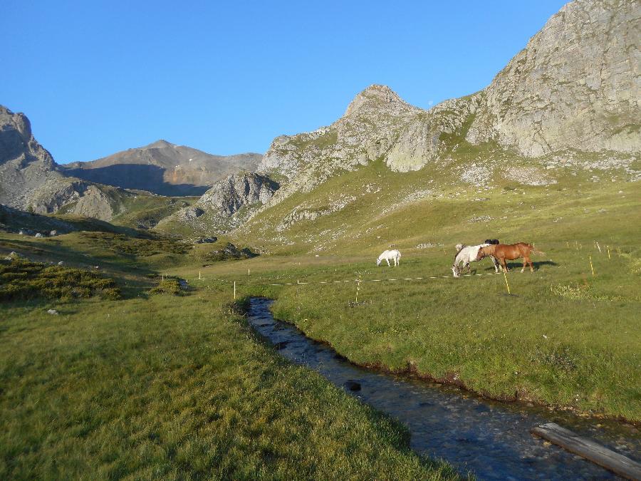 Randonne questre Hautes-Alpes 