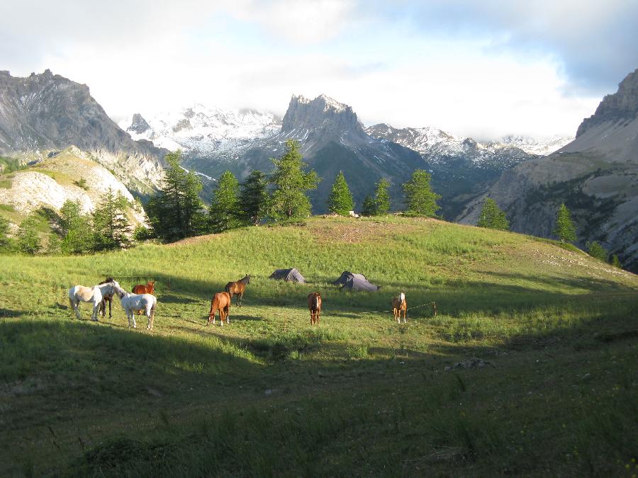 Voyage  cheval Hautes-Alpes  photo 3