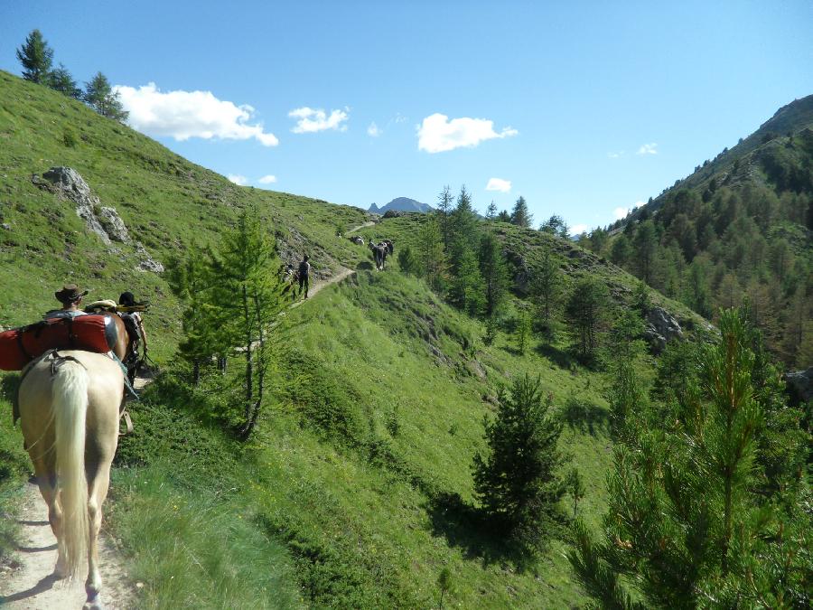Voyage  cheval Hautes-Alpes  photo 4