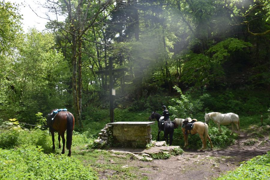 Sjour questre Isre Valle du Haut Brda photo 4