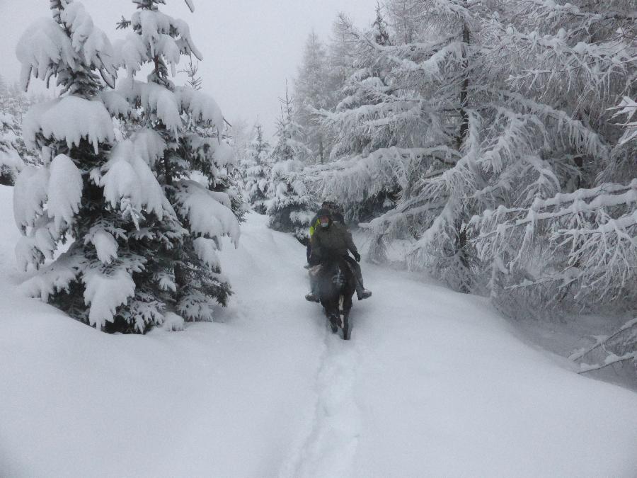 Stage quitation Isre Valle du Haut Brda photo 3