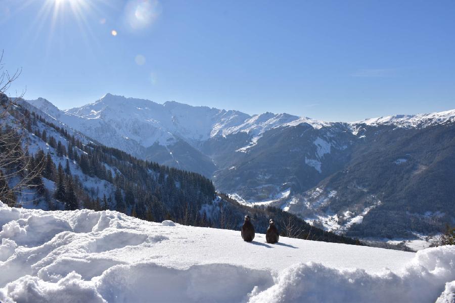 Stage quitation Isre Valle du Haut Brda photo 4