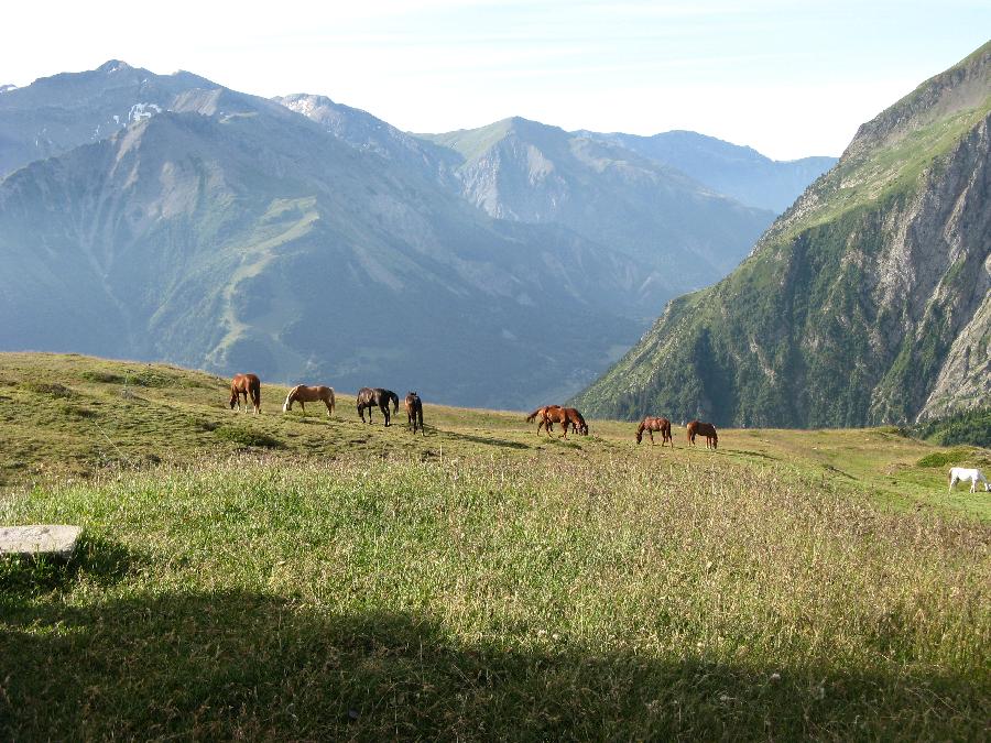 sejour Isre Valle du Haut Brda photo 5