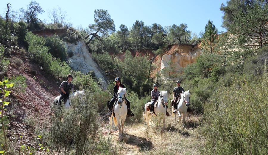 rando Randonne questre Vaucluse
