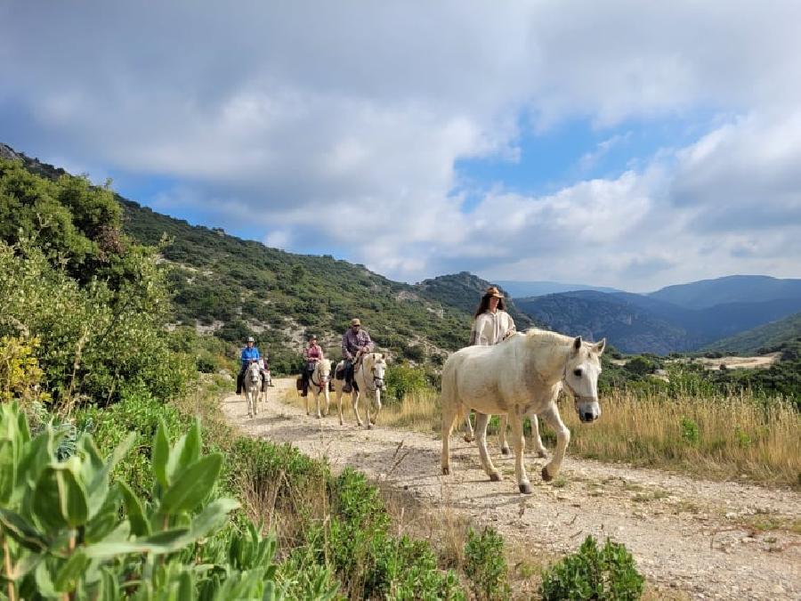 Sjour questre Vaucluse Luberon photo 2