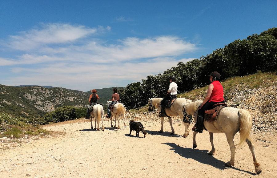 Randonne questre Vaucluse Luberon photo 3