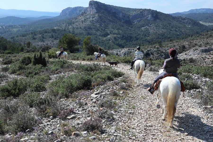 Randonne questre Vaucluse Luberon photo 4