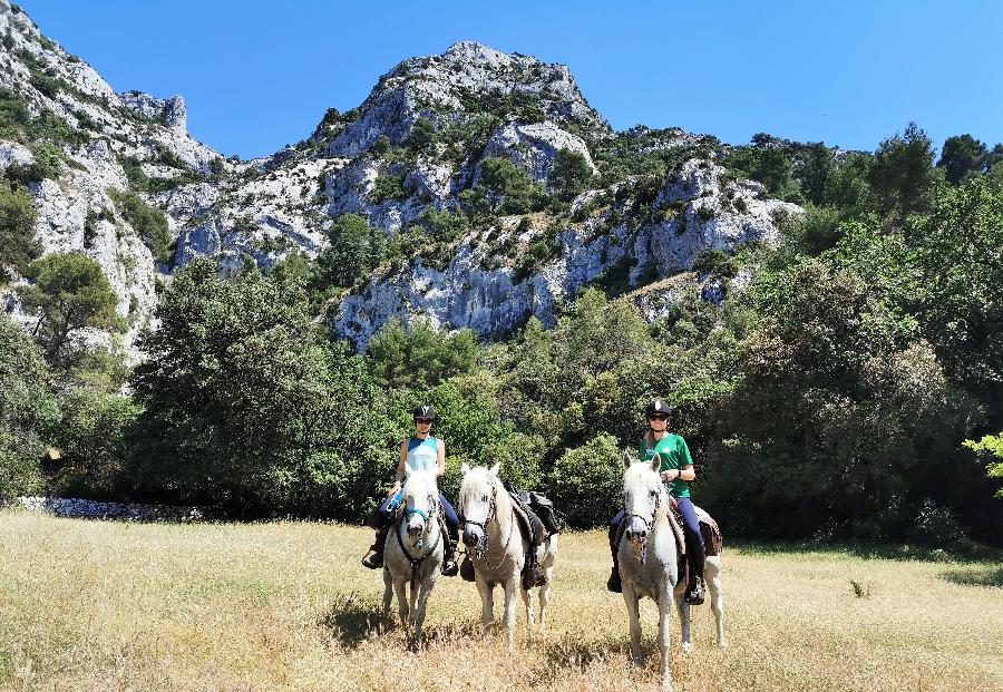 Randonne questre Vaucluse Luberon