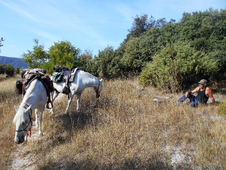 sejour Vaucluse Luberon photo 4