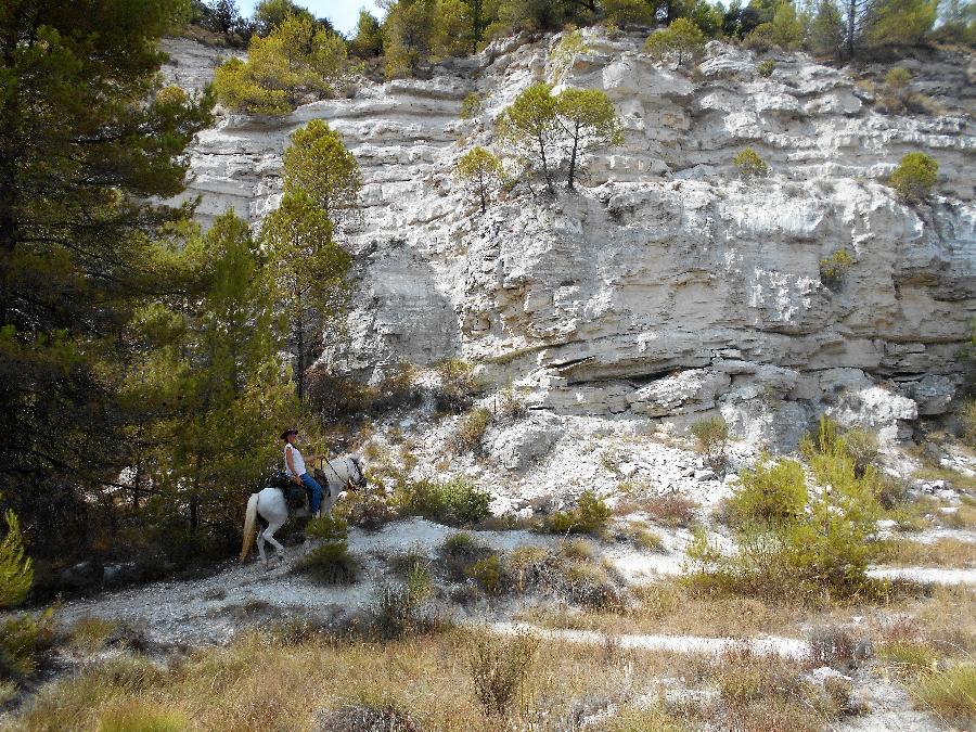 sejour Vaucluse Provence photo 5