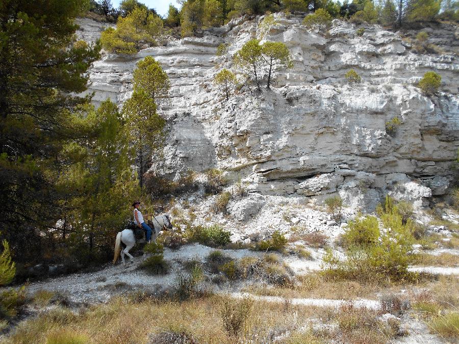 Randonne questre Vaucluse Luberon photo 5