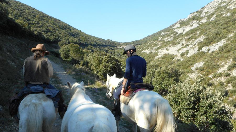 Balade  cheval Vaucluse Luberon photo 2