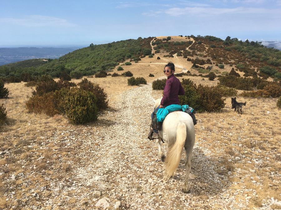 S�jour �questre   photo 2