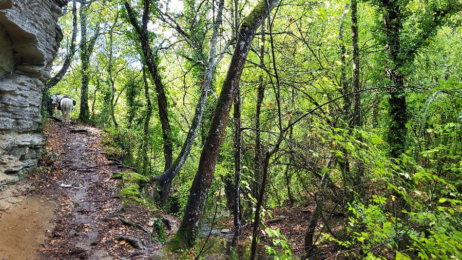 S�jour �questre   photo 3