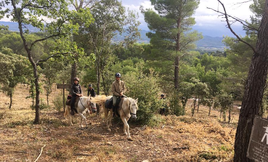 sejour Vaucluse Luberon photo 4