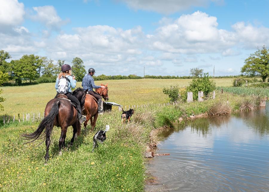 sejour Sjour  la ferme questre Creuse