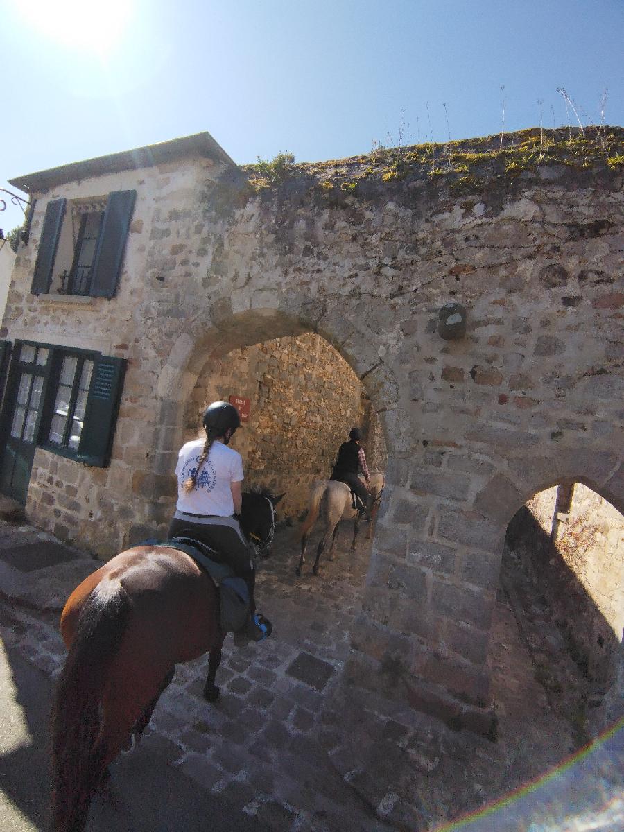 Sjour questre   photo 2
