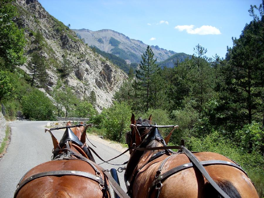 Sjour questre Alpes de Haute-Provence 