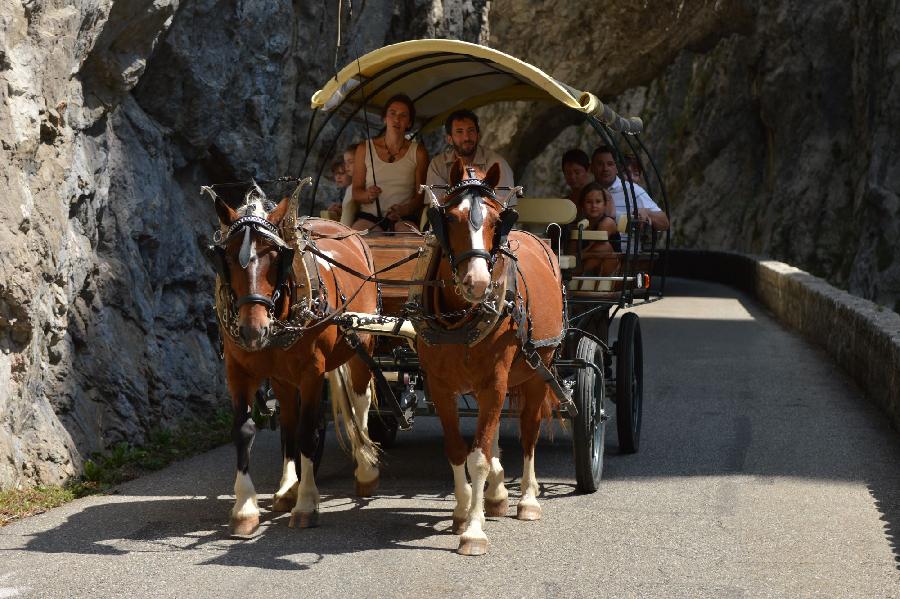 Balade  cheval Alpes de Haute-Provence  photo 4