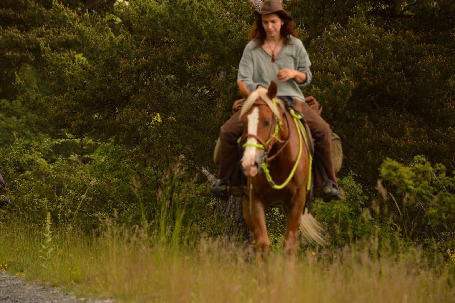 Balade  cheval Alpes de Haute-Provence  photo 3