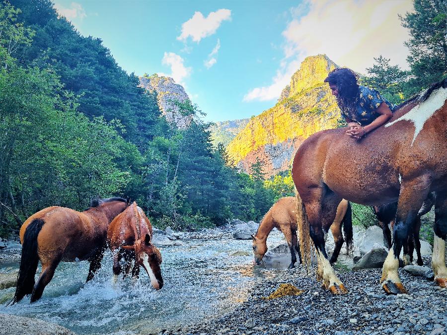 Stage quitation Alpes de Haute-Provence 