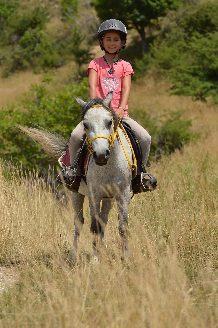 Randonne questre Alpes de Haute-Provence  photo 2