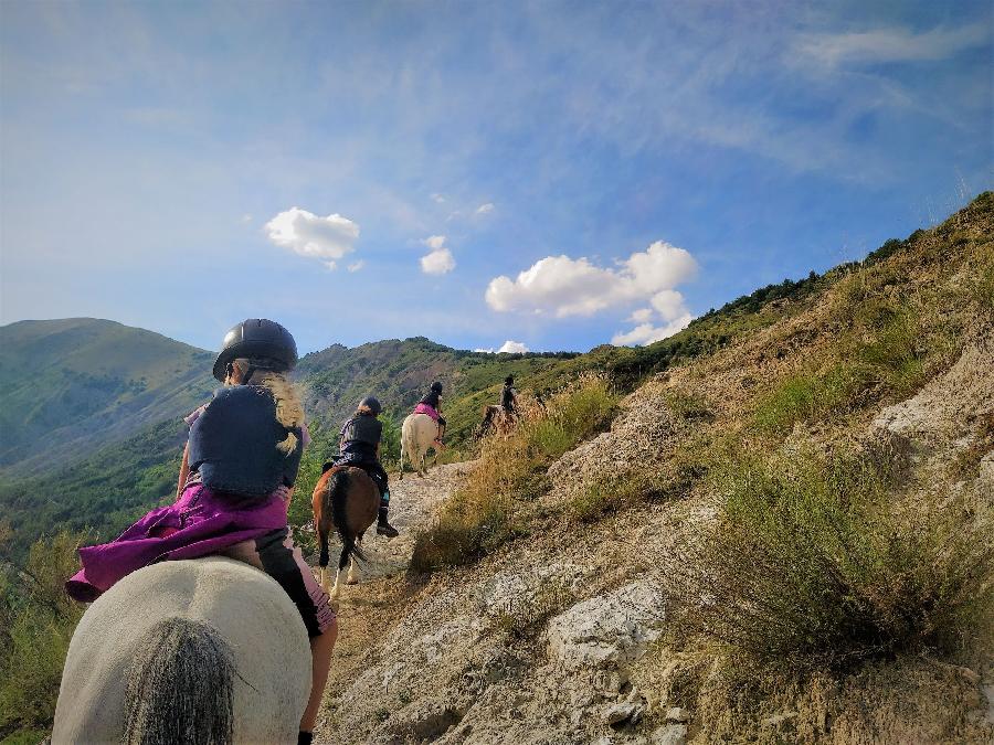 Randonne questre Alpes de Haute-Provence  photo 6