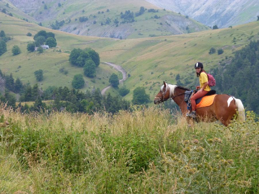 rando Randonne questre Alpes de Haute-Provence