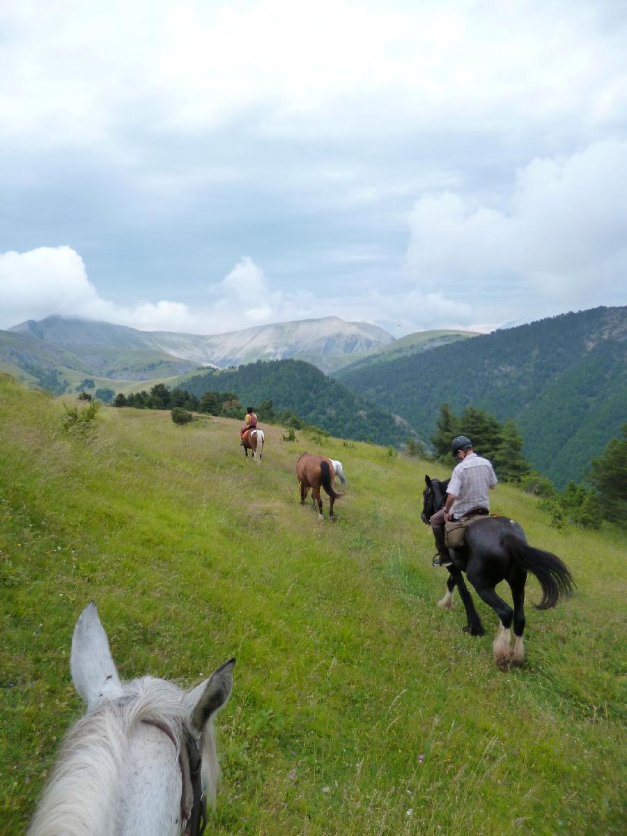 Sjour questre Alpes de Haute-Provence  photo 2