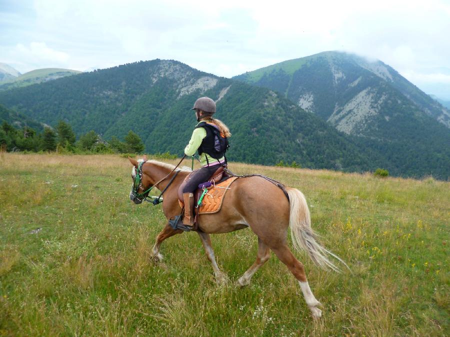 Sjour questre Alpes de Haute-Provence  photo 3