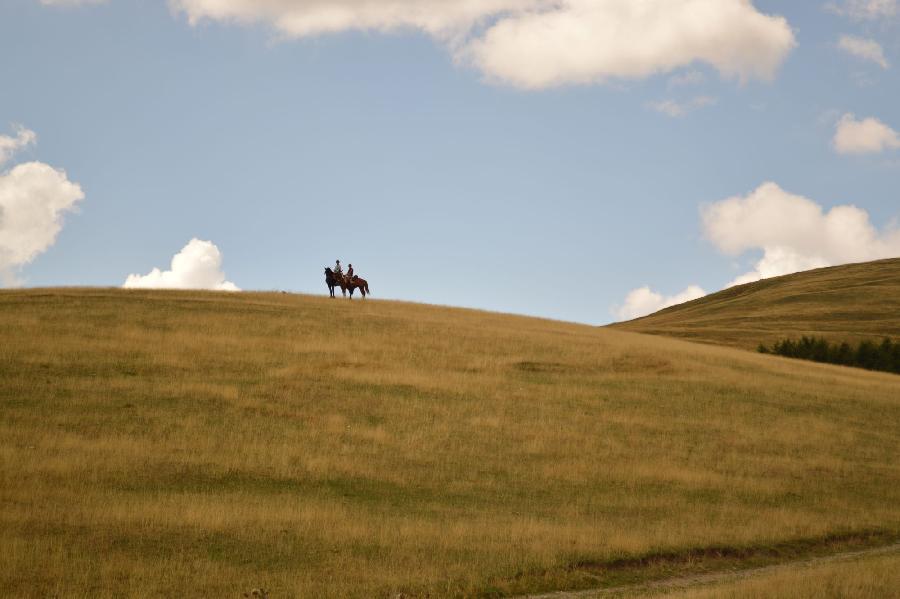 Sjour questre Alpes de Haute-Provence  photo 4