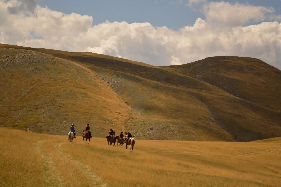 Randonne questre Alpes de Haute-Provence  photo 5