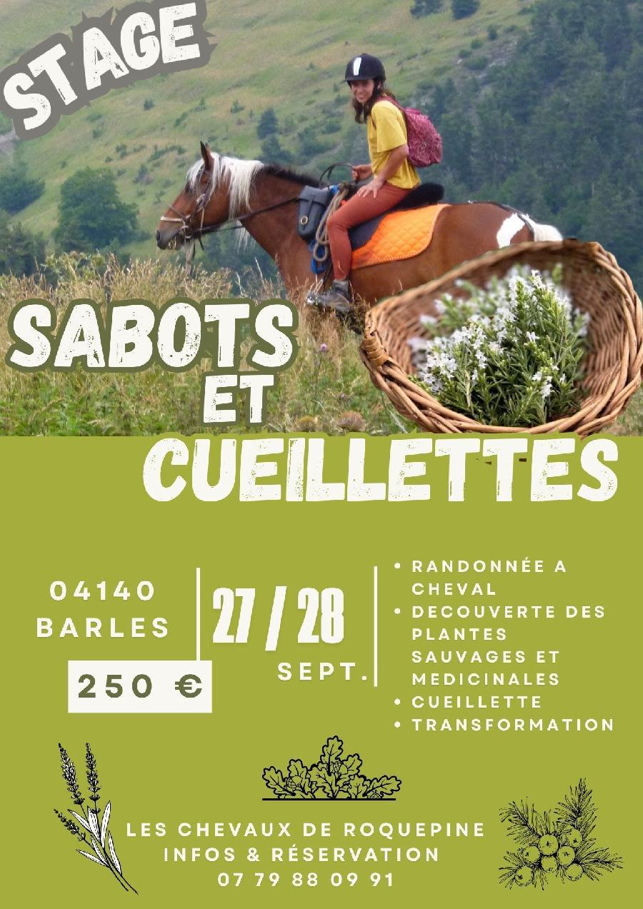 S�jour �questre   photo 2