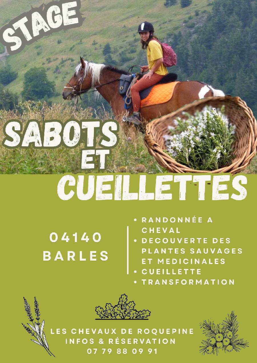 S�jour �questre   photo 2