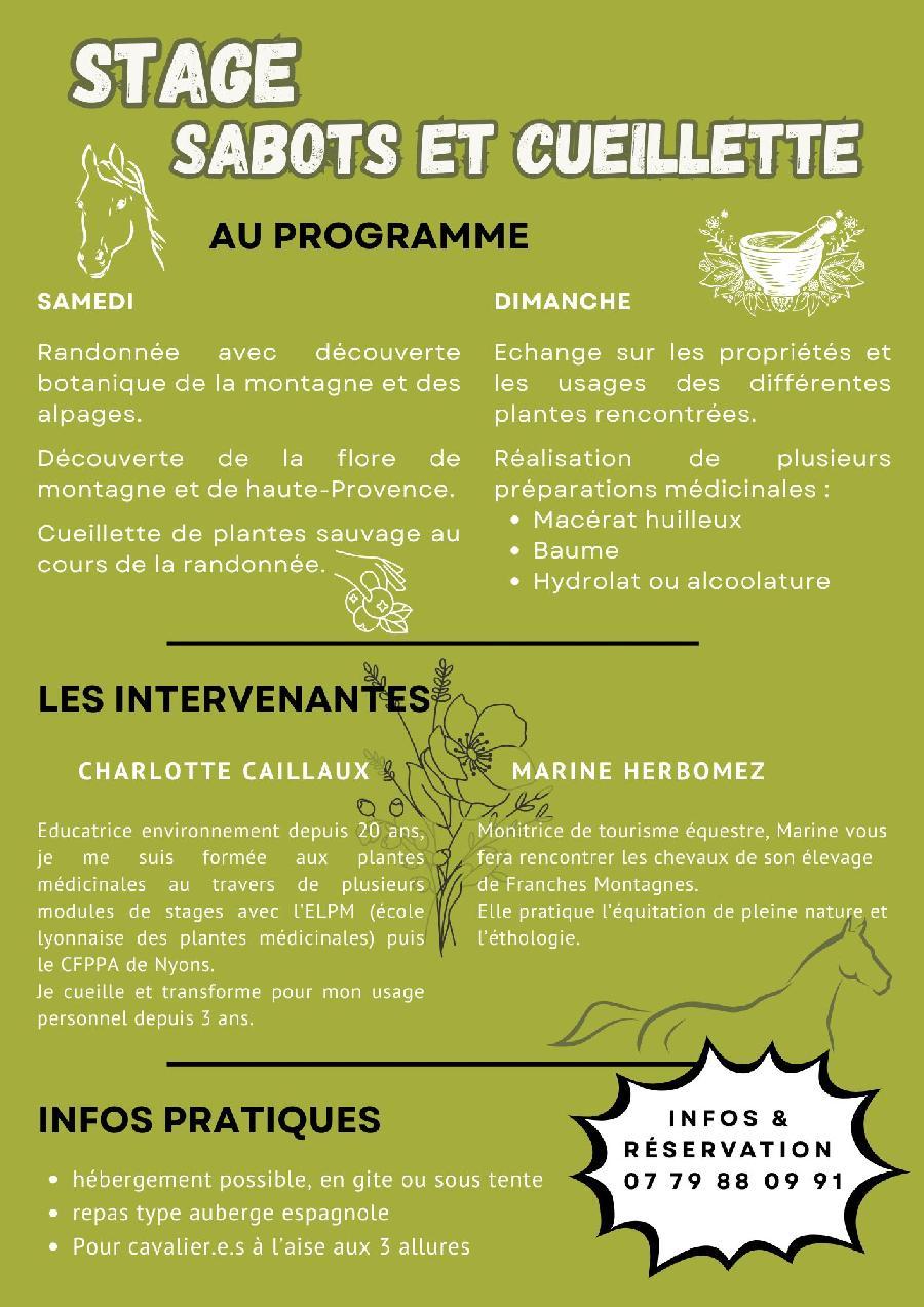 S�jour �questre   photo 3