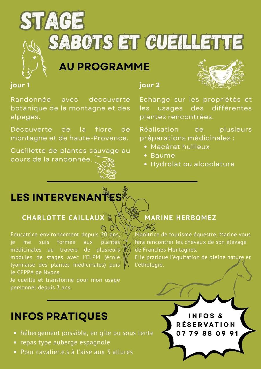 S�jour �questre   photo 3