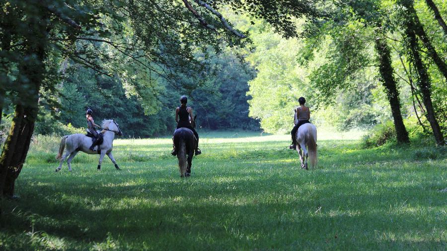 Sjour questre Dordogne Prigord photo 3