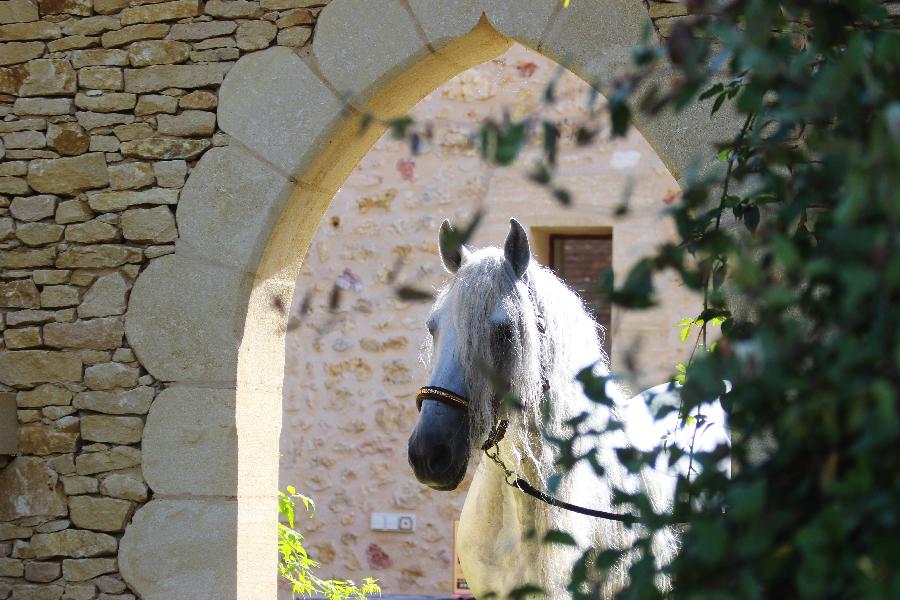 Stage quitation Dordogne Prigord photo 5