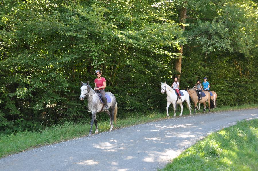 sejour Dordogne Prigord photo 3