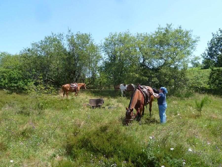 Sjour questre Corrze PNR de Millevaches en Limousin photo 6