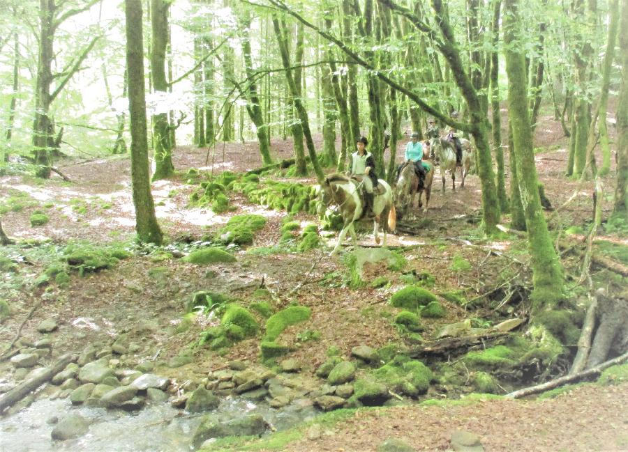 rando Initiation à la randonnée Corrèze