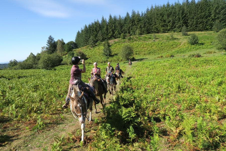 sejour Corrze PNR de Millevaches en Limousin photo 4