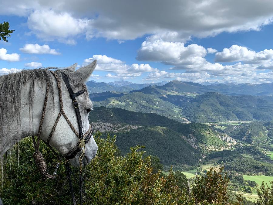 Randonne questre Drme Haut-Diois photo 6