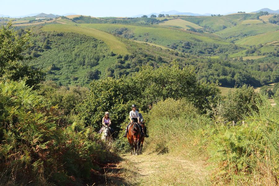 Sjour questre Pyrnes-Atlantiques Pays Basque photo 1