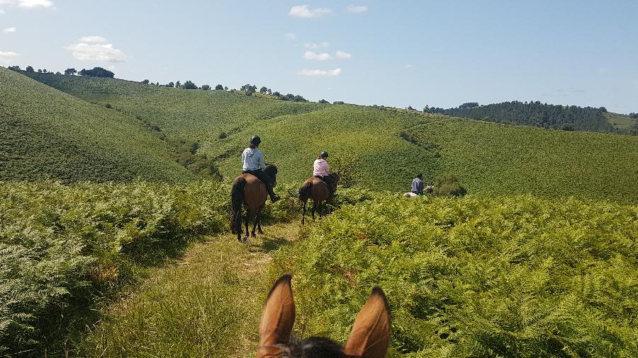 Balade  cheval Pyrnes-Atlantiques Pays Basque photo 4