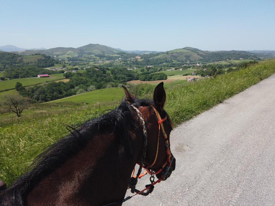 Balade  cheval Pyrnes-Atlantiques Pays Basque photo 5