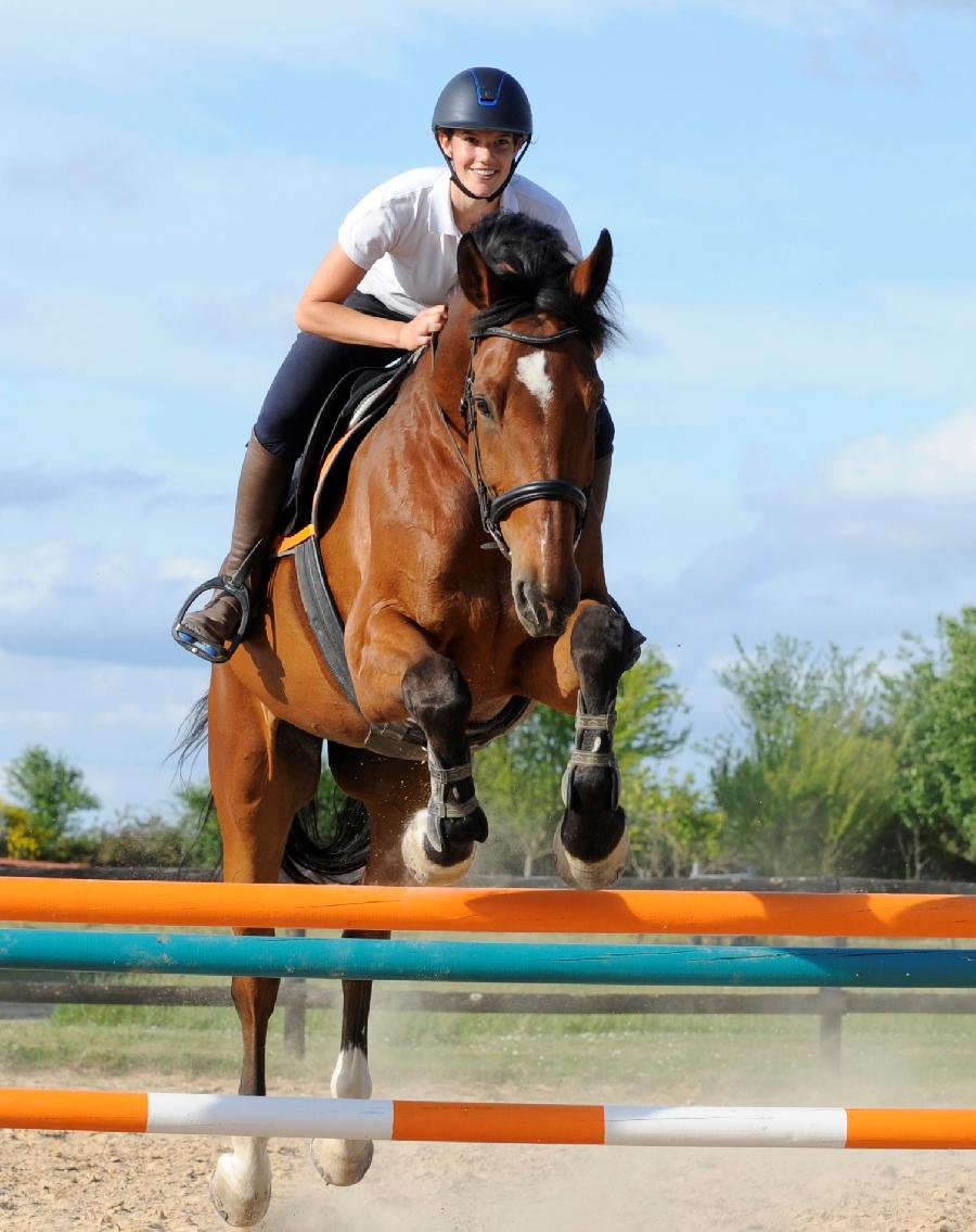 Randonne questre   photo 4
