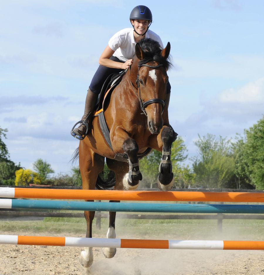 Stage quitation   photo 6