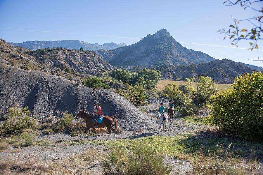 Sjour questre Hautes-Alpes PNR des Baronnies Provenales