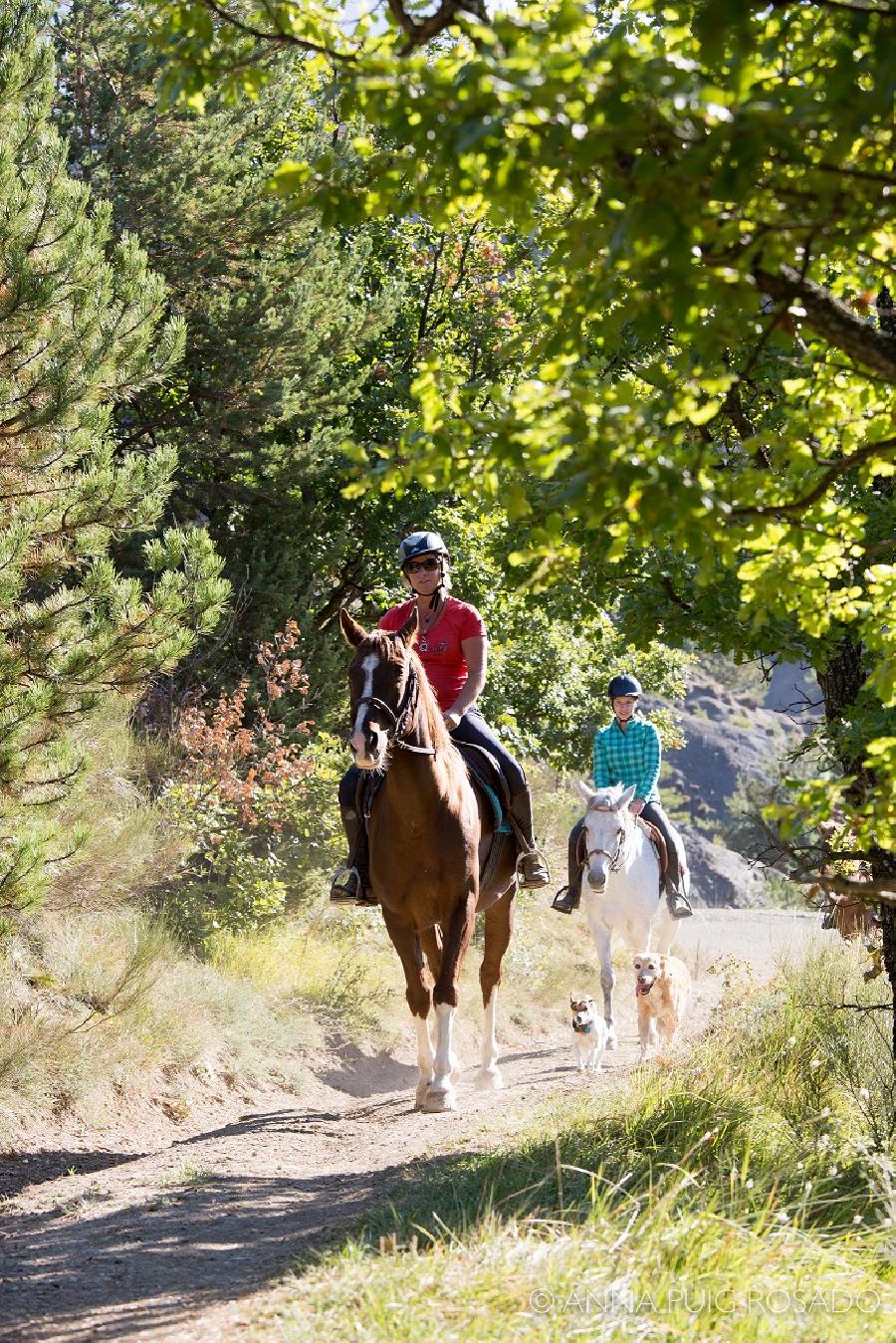 Randonne questre Hautes-Alpes PNR des Baronnies Provenales photo 2